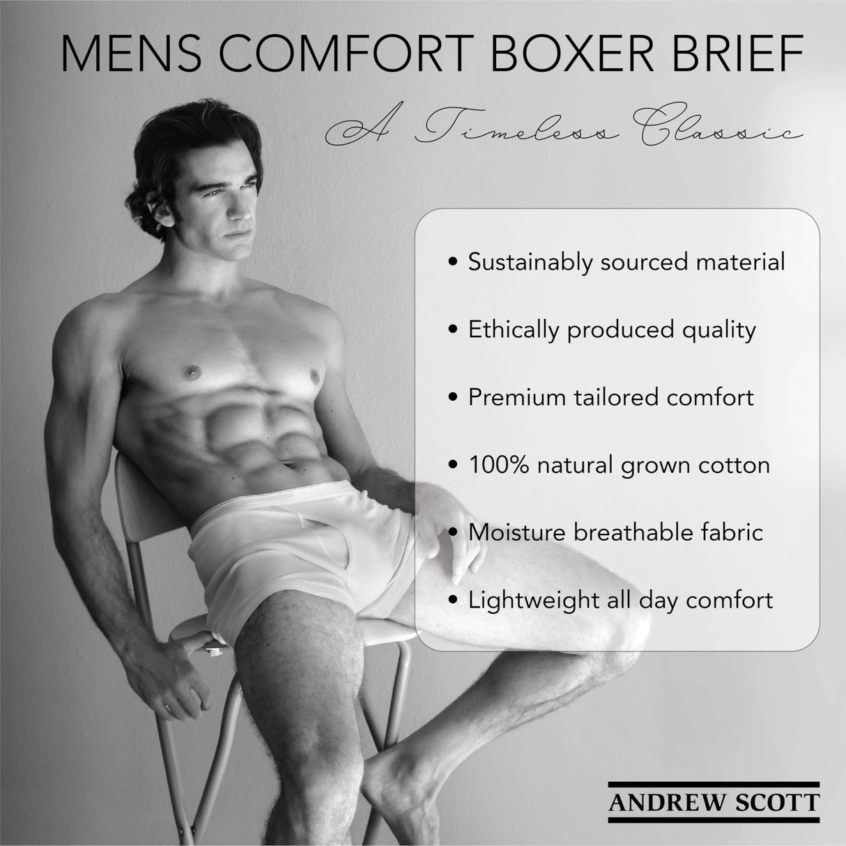 Men's Big & Tall Cotton Boxer Briefs